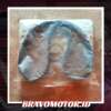 Honda 14400-PM6-004 Timing belt-2