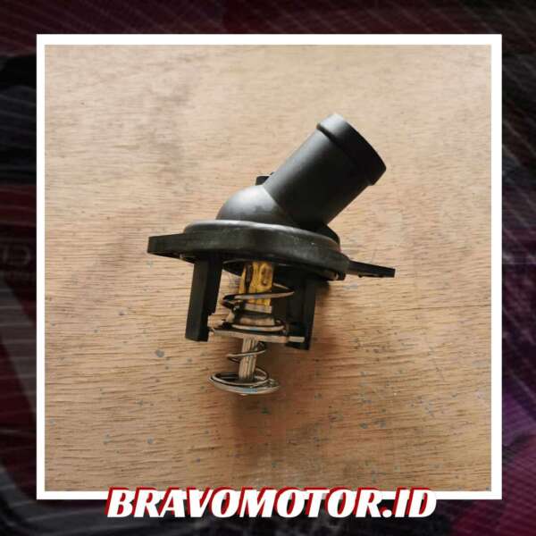 RMX 19301-RAF-004 Thermostat-2