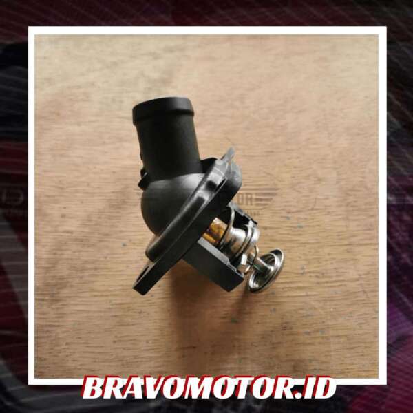 RMX 19301-RAF-004 Thermostat-4