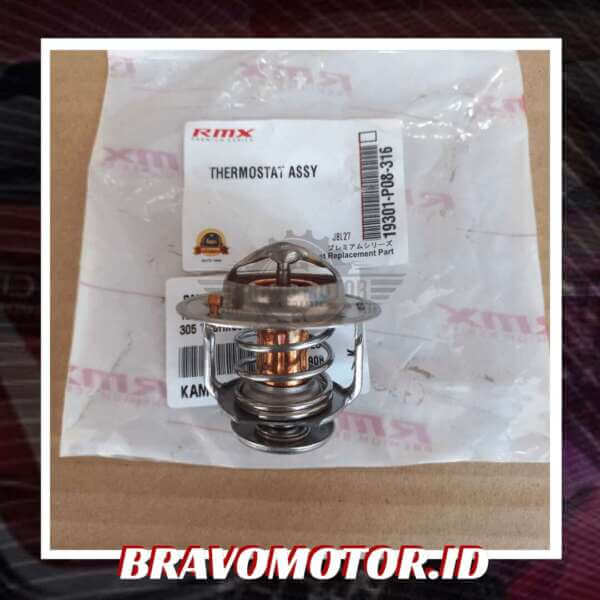 RMX 19301-P08-316/19301-REA-305 Thermostat-1