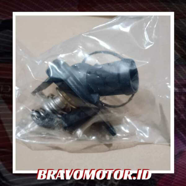 Honda 19301-RAF-004 Thermostat-1