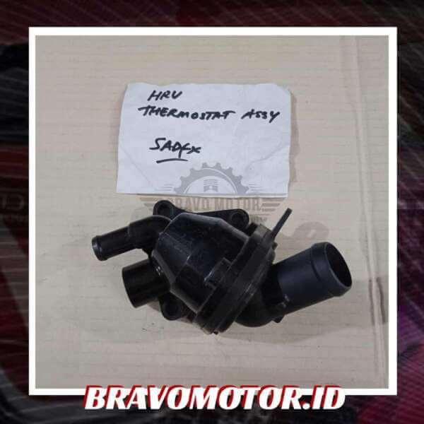 SECOND Thermostat Assy-1