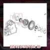 Original 91121-P6H-013(003) 40X80X18.75 Bearing Special Taper RD4/RD5/RN3/S84-3
