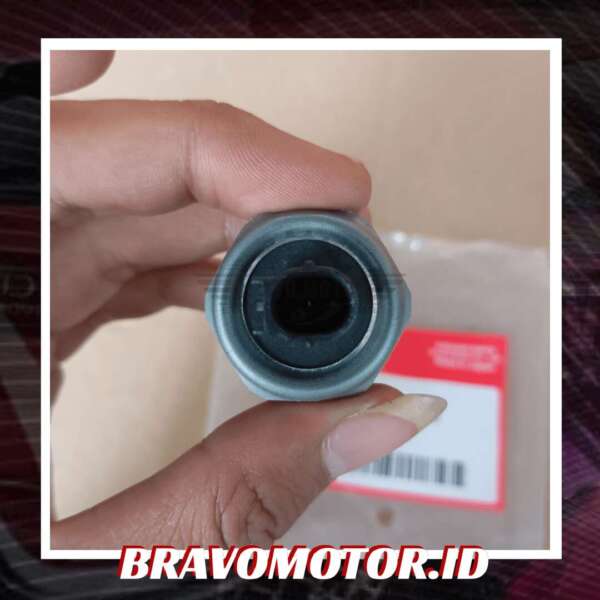 Import 30530 PNA 003/30530 PPL A01 Sensor knock RD4/RD5