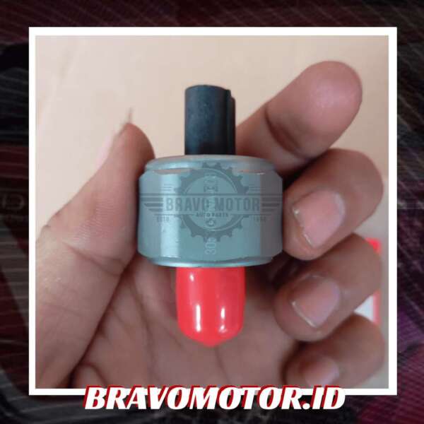 Import 30530 PNA 003/30530 PPL A01 Sensor knock RD4/RD5