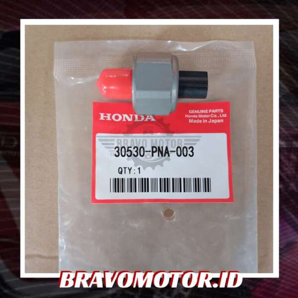 Import 30530 PNA 003/30530 PPL A01 Sensor knock RD4/RD5