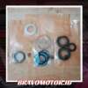 GBOX 06538 SV4 000 Seal rack steer Full set