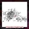Original 91206 5T0 004 35X55X8 Seal transmisi kanan