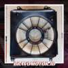 Original 19015 RE1 Z01 Shroud Fan Radiator DD1|13 14/DD2