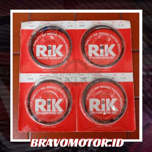 RIK 13011 RAD 004/13011 RZA 004 16046 87mm Ring Piston 25 RE3/RD5/CM5/RB1
