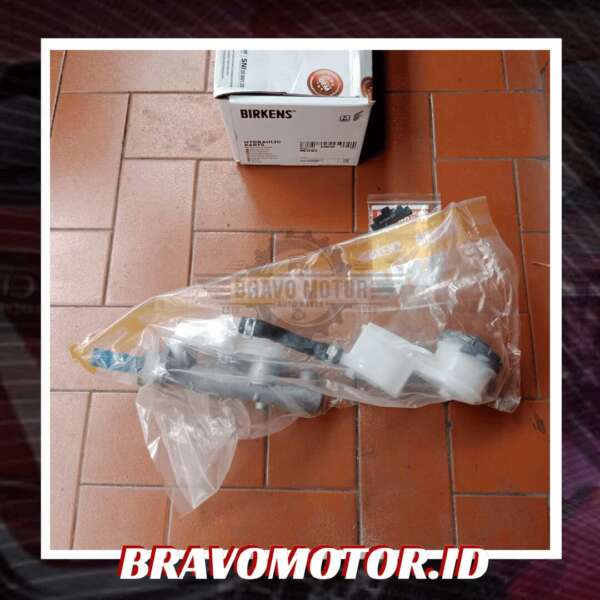 Birkens 46100 SNG J01 HBM S37 Master rem FD2