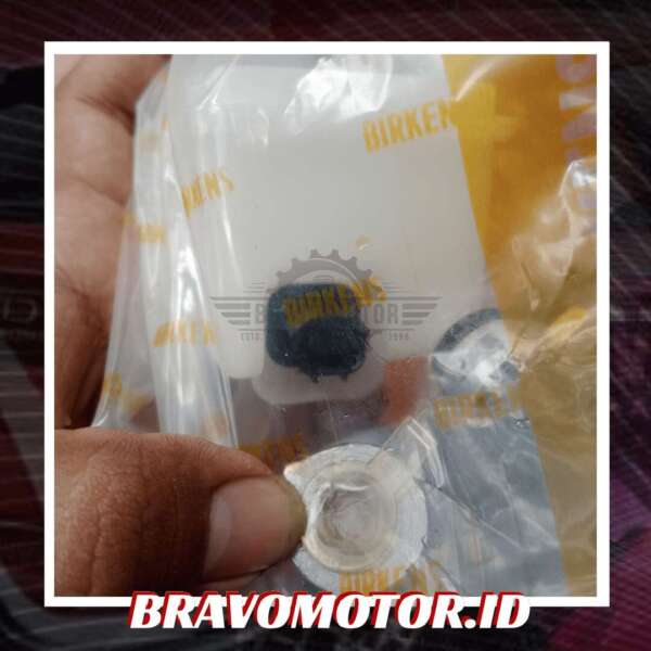 Birkens 46100 SNG J01 HBM S37 Master rem FD2