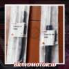 RMX 74820 SYY 023&74870 SYY 023 Shock Bagasi kanan dan kiri GB3