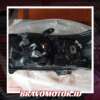 Original 81130 0K580 Head lamp kanan Innova Reborn 2023