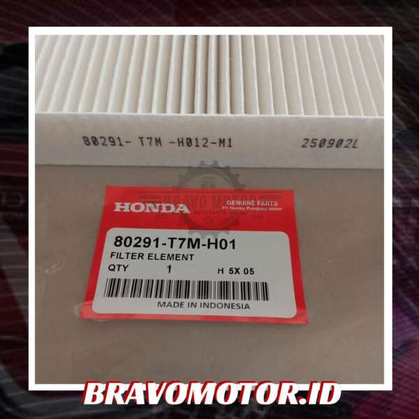 Original 80291 T7M H01 Cabin Filter / Filter AC DG3