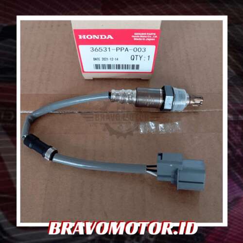 Import 36531 PPA 003 Sensor O2 depan RD5